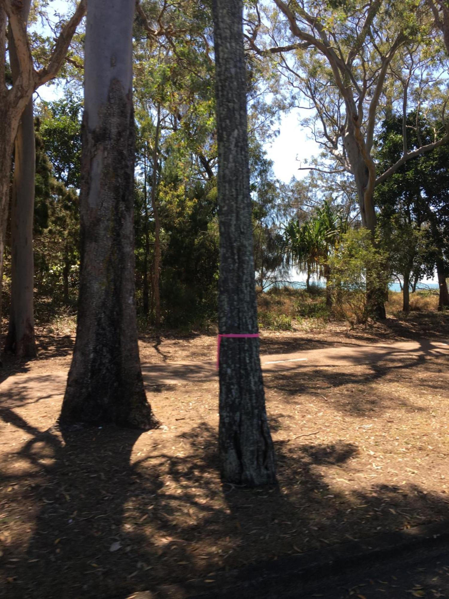 The Bay Beach Shack, Hervey Bay Exterior foto